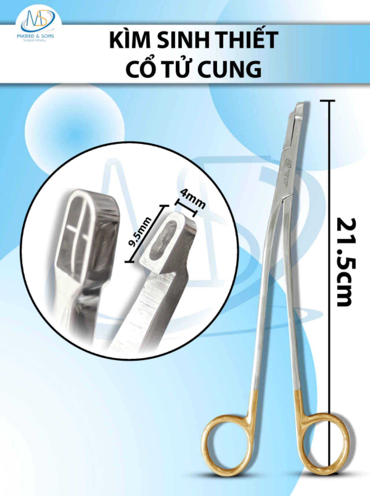 Kìm sinh thiết cổ tử cung cong Dài 21.5cm Hàm cắt 1cmx4mm