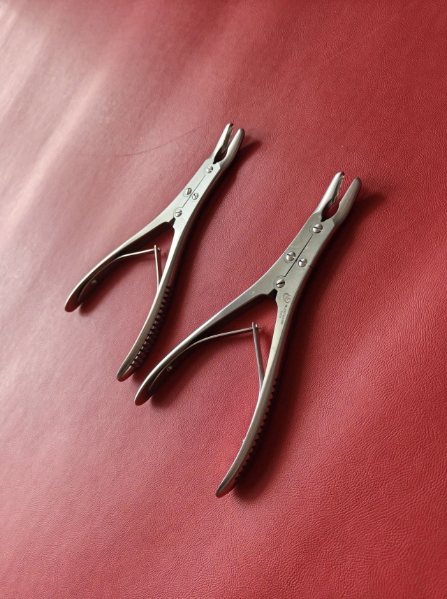 Lóc xương Hohmann Dài 29,5cm đầu dài 8cm rộng bự 2,5cm nhỏ 3mm
