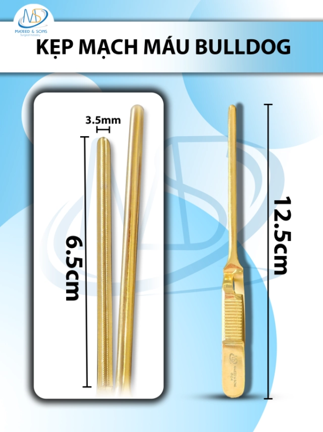 Đục xương Smith Peterson Osteotome 20cm cong D10cm R1.6cm nặng 278g