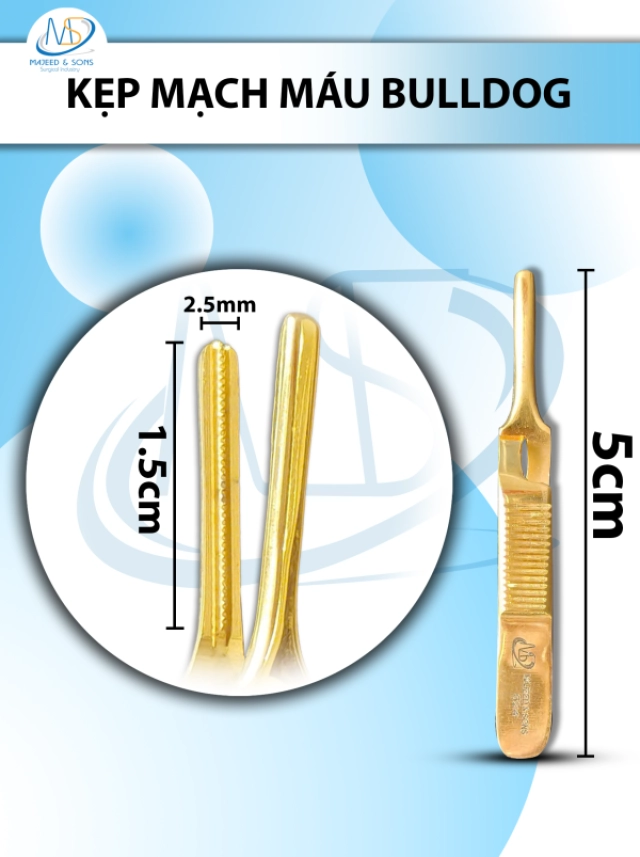 Đục xương lòng máng  Smith-Petersen gouge 20cm D10cm R1.9cm 244g
