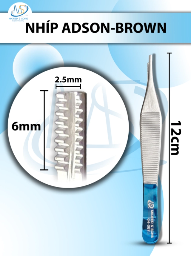Kìm gặm xương, Kẹp chỉnh hình cột sống Dài 25cm,chiều dài làm việc 17cm, đầu gặm lên D1cm R2mm